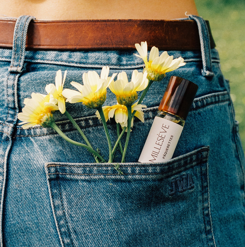 DAISIES