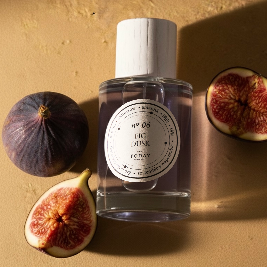 No6 FIG DUSK